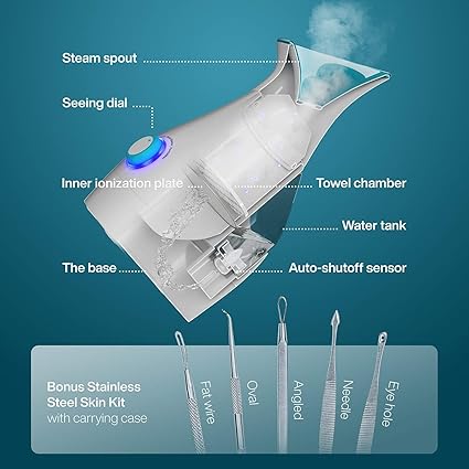 3-in-1 Nano Ionic Facial Steamer
